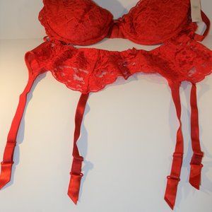 Matched Red Bra, Garter Belt Plus Size 42C, 18/20
